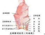 先天性直肠肛门畸形