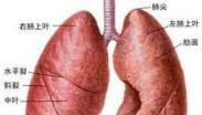 肺部良性肿瘤