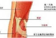 重症肌无力样综合征