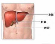 小儿戊型病毒性肝炎