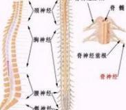脊髓前动脉综合征