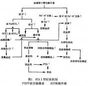 I型肾小管性酸中毒