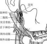 茎突综合征