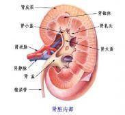 慢性肾性贫血