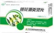 银花泌炎灵片
