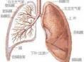 热带性肺嗜酸粒细胞浸润症