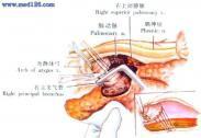 肺络张