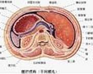 眼睑丹毒