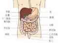 肠系膜脂肪炎
