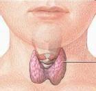 慢性自身免疫性甲状腺炎