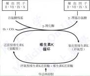 获得性循坏抗凝物质增多综合征