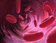 海绵状血管瘤血小板减少综合征