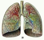 农民肺