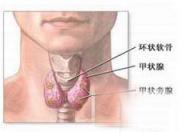 小儿原发性甲状旁腺功能亢进症