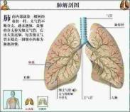 肺脓肿