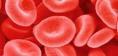 小儿纯红细胞再生障碍性贫血