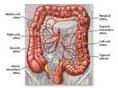 肠系膜血管缺血性疾病