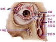 眼外肌发育不全