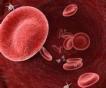 妊娠合并巨幼红细胞性贫血