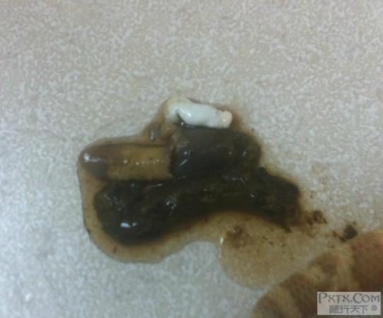 曹佳宁